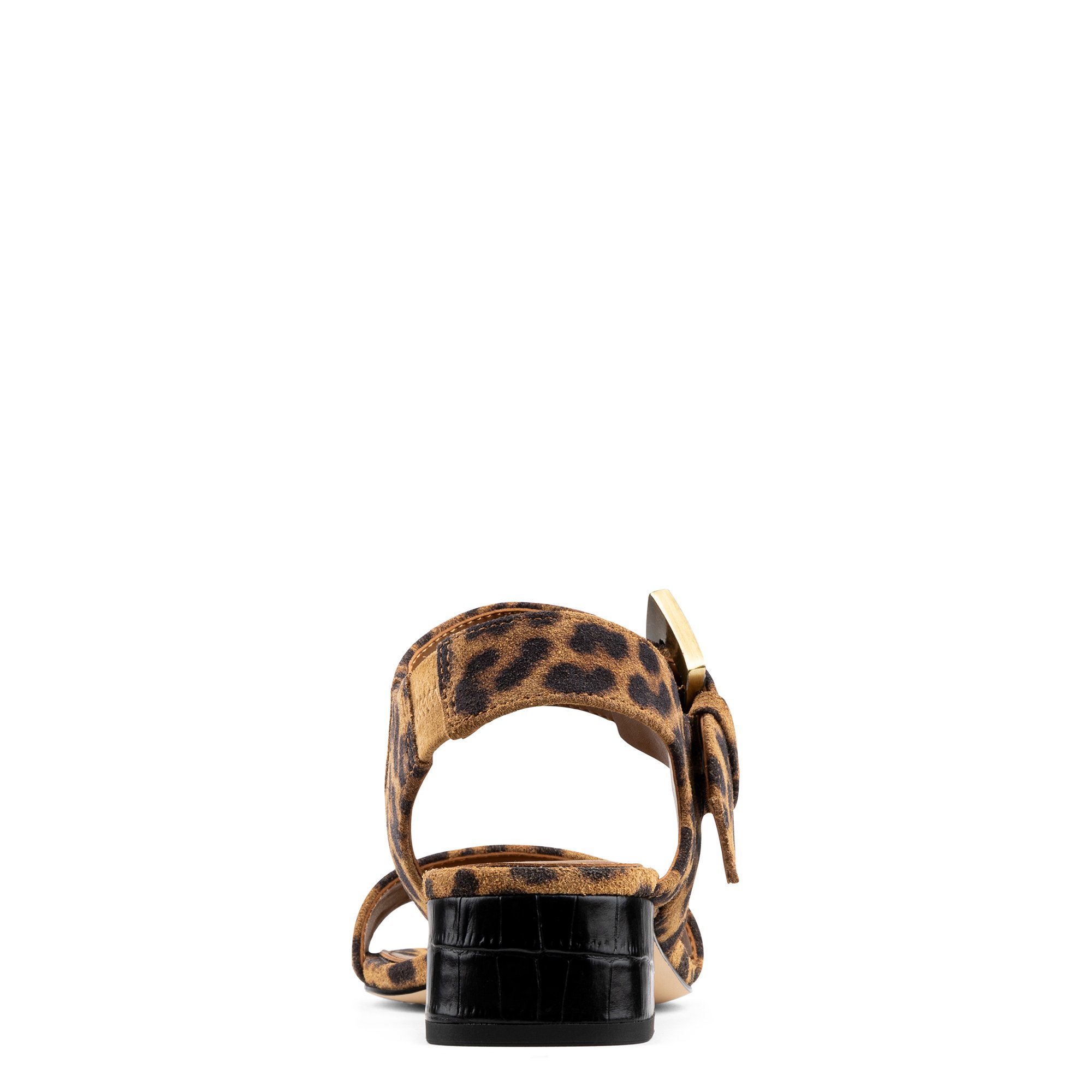 Main Product Image Zoomed