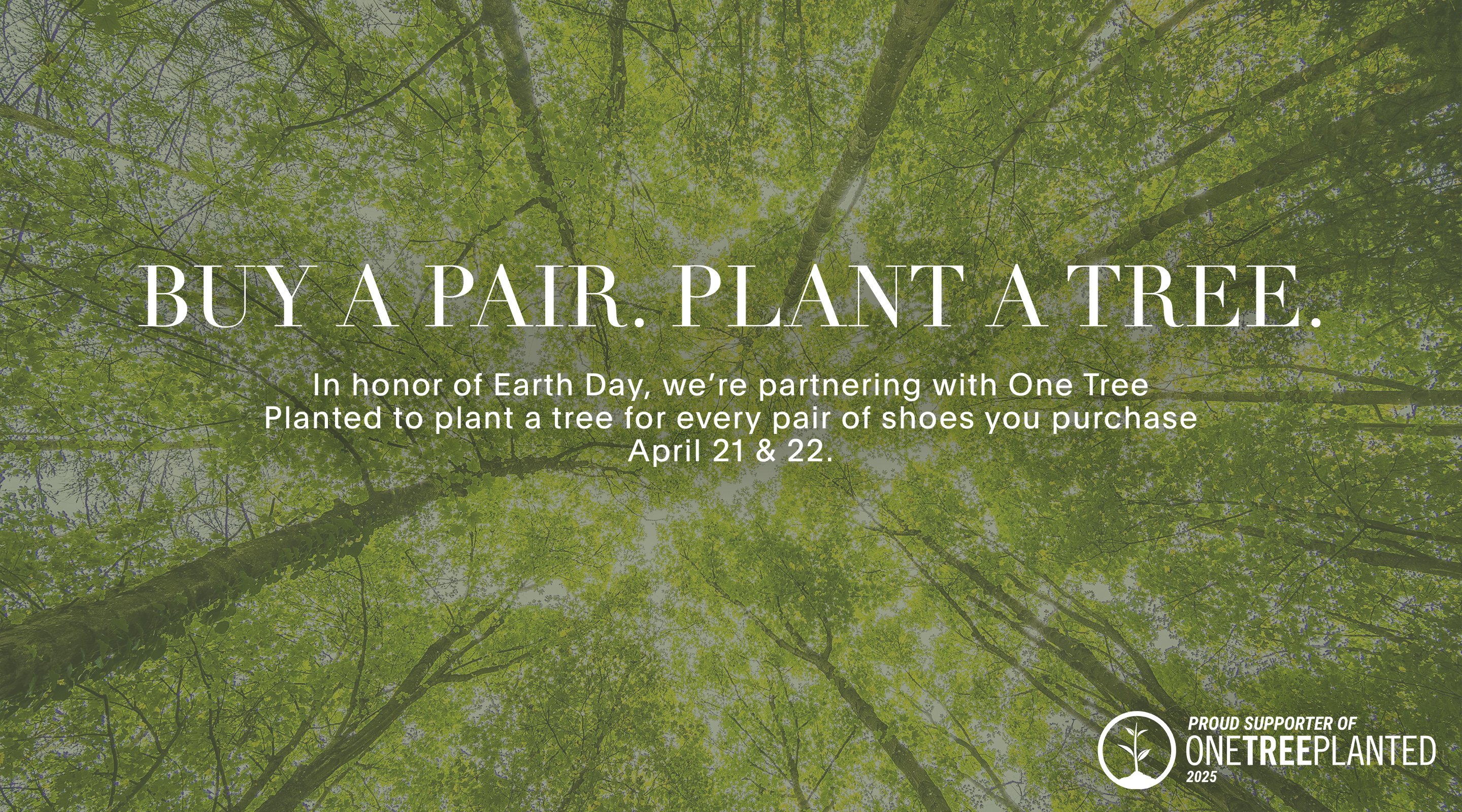 One Tree Planted One Tree Planted