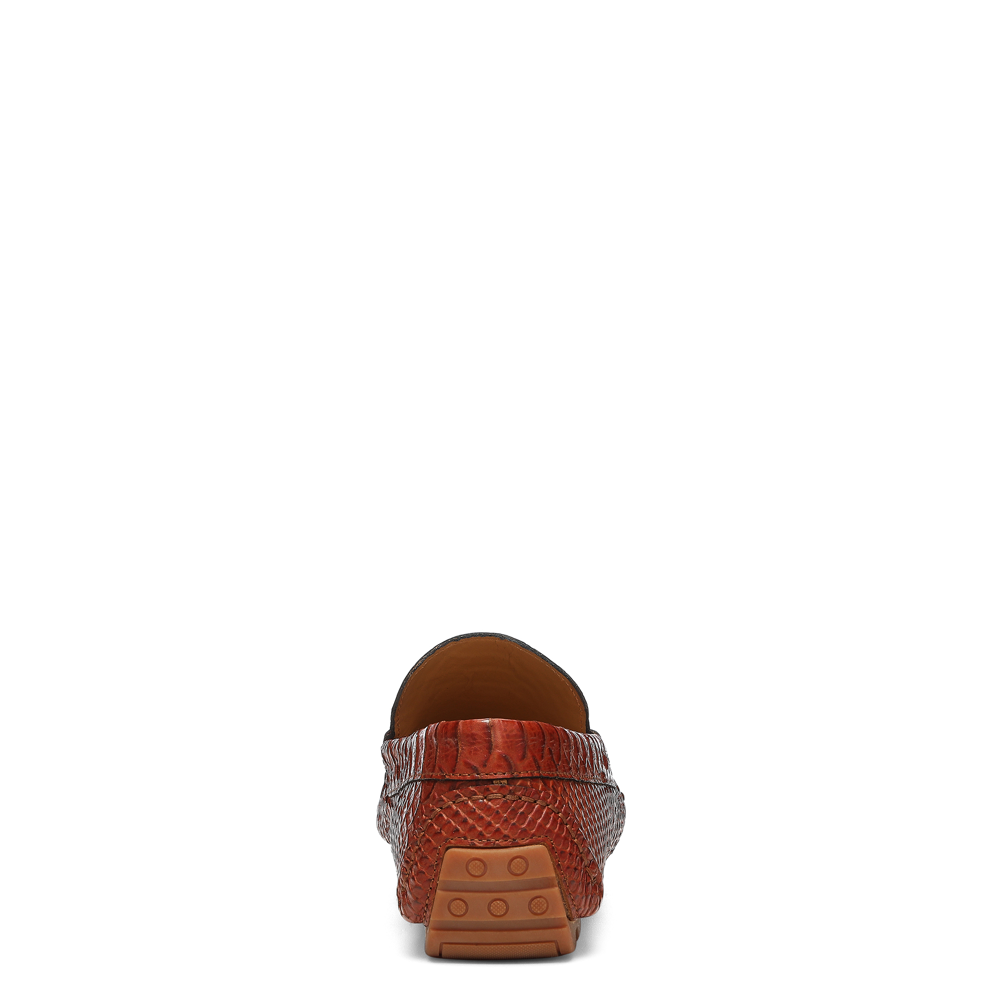 Donald Pliner Men Dacio Driver Cognac Snake Casual In Cognac Snake