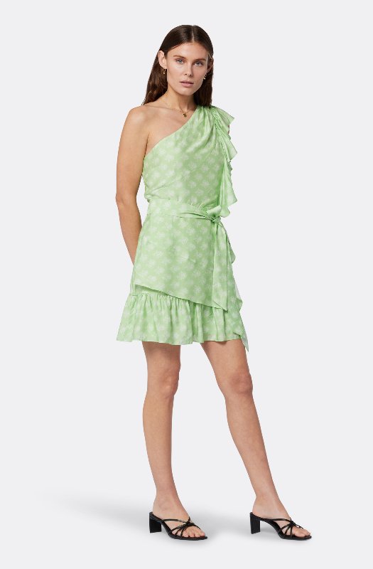 knee length dresses for ladies Joie Women's Limited Edition Sleeveless Sheer Overlay Mini Dress   Ewirelessgear