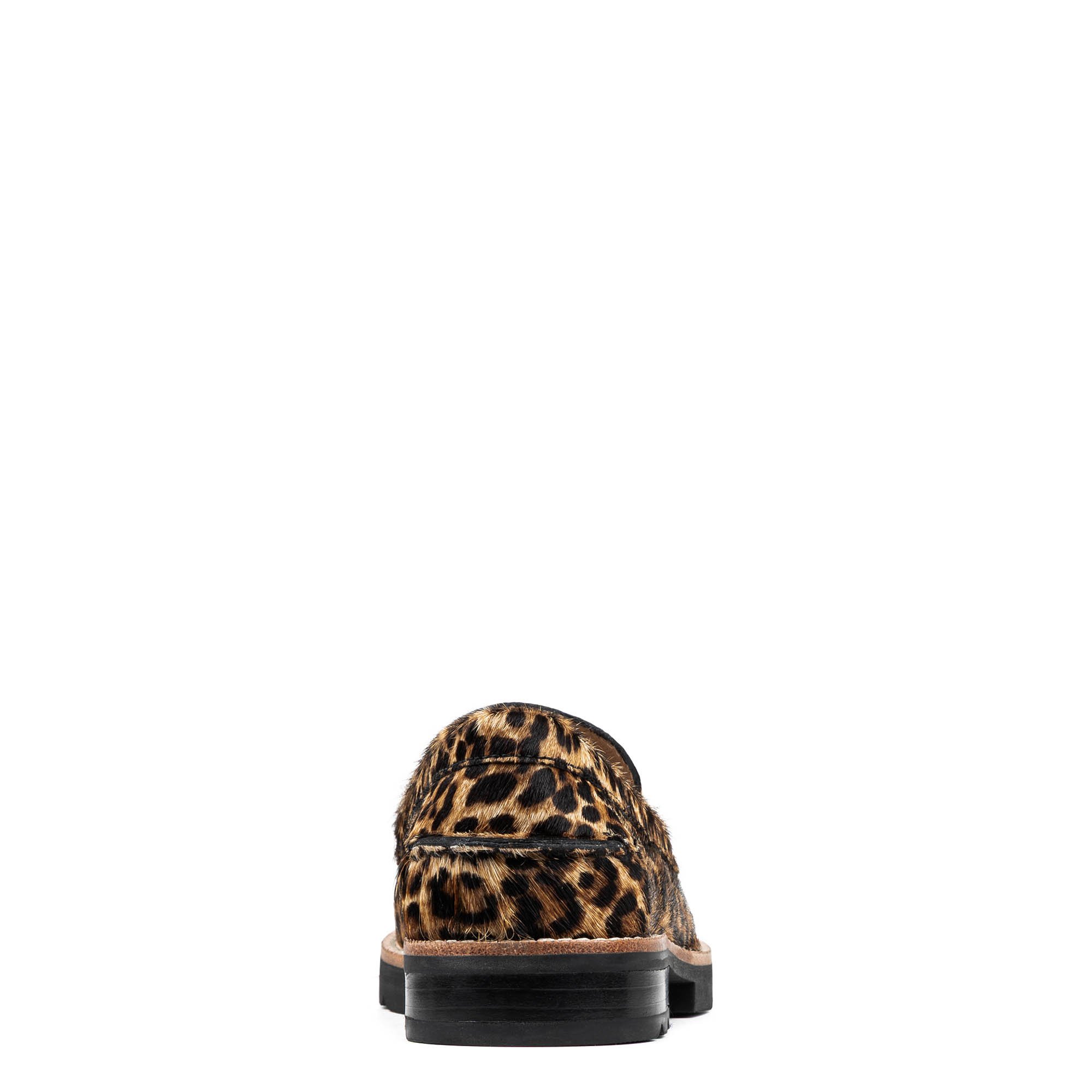 Main Product Image Zoomed
