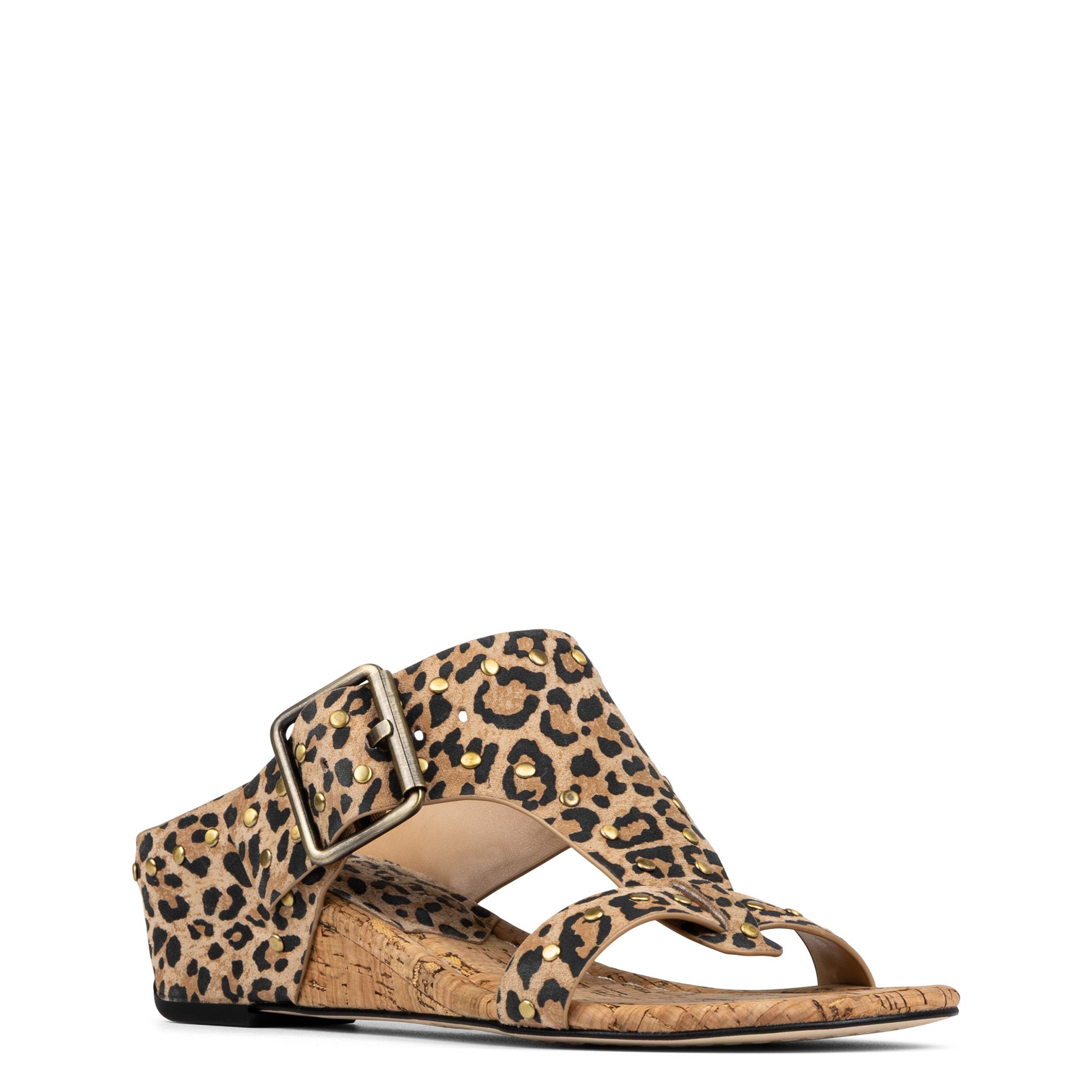 Main Product Image Zoomed