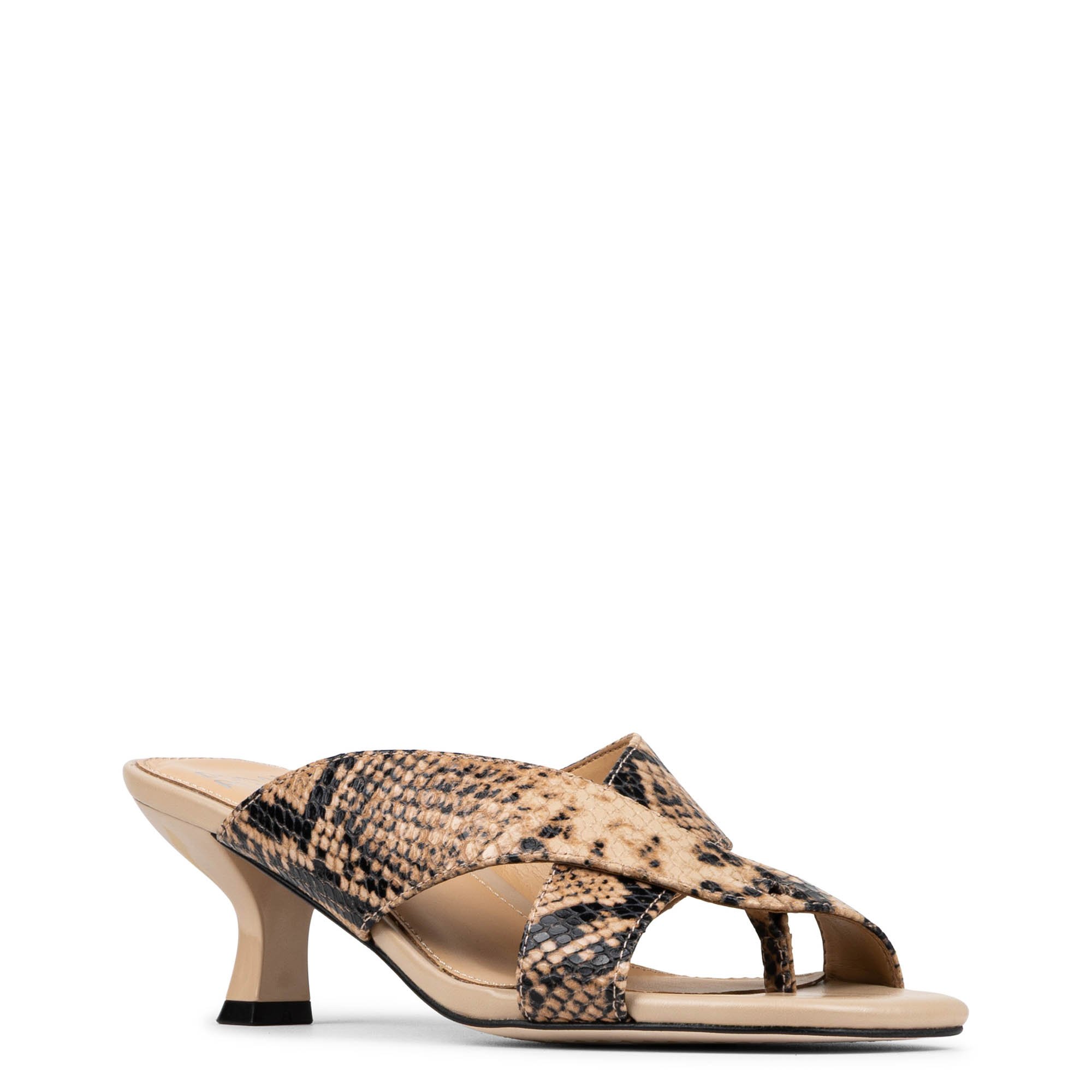 Main Product Image Zoomed