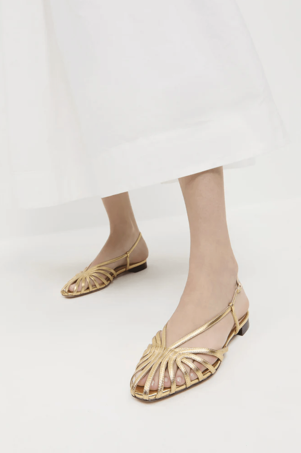 Main Product Image Zoomed