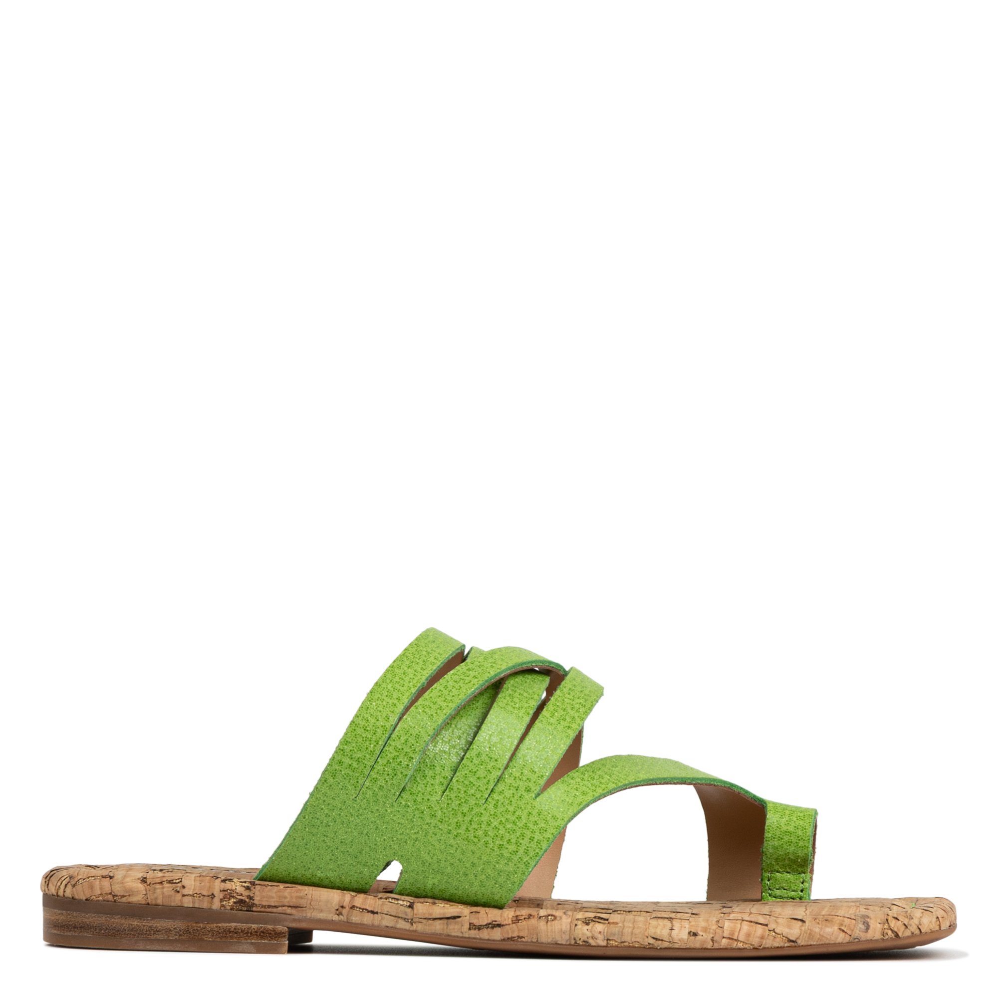 Main Product Image Zoomed