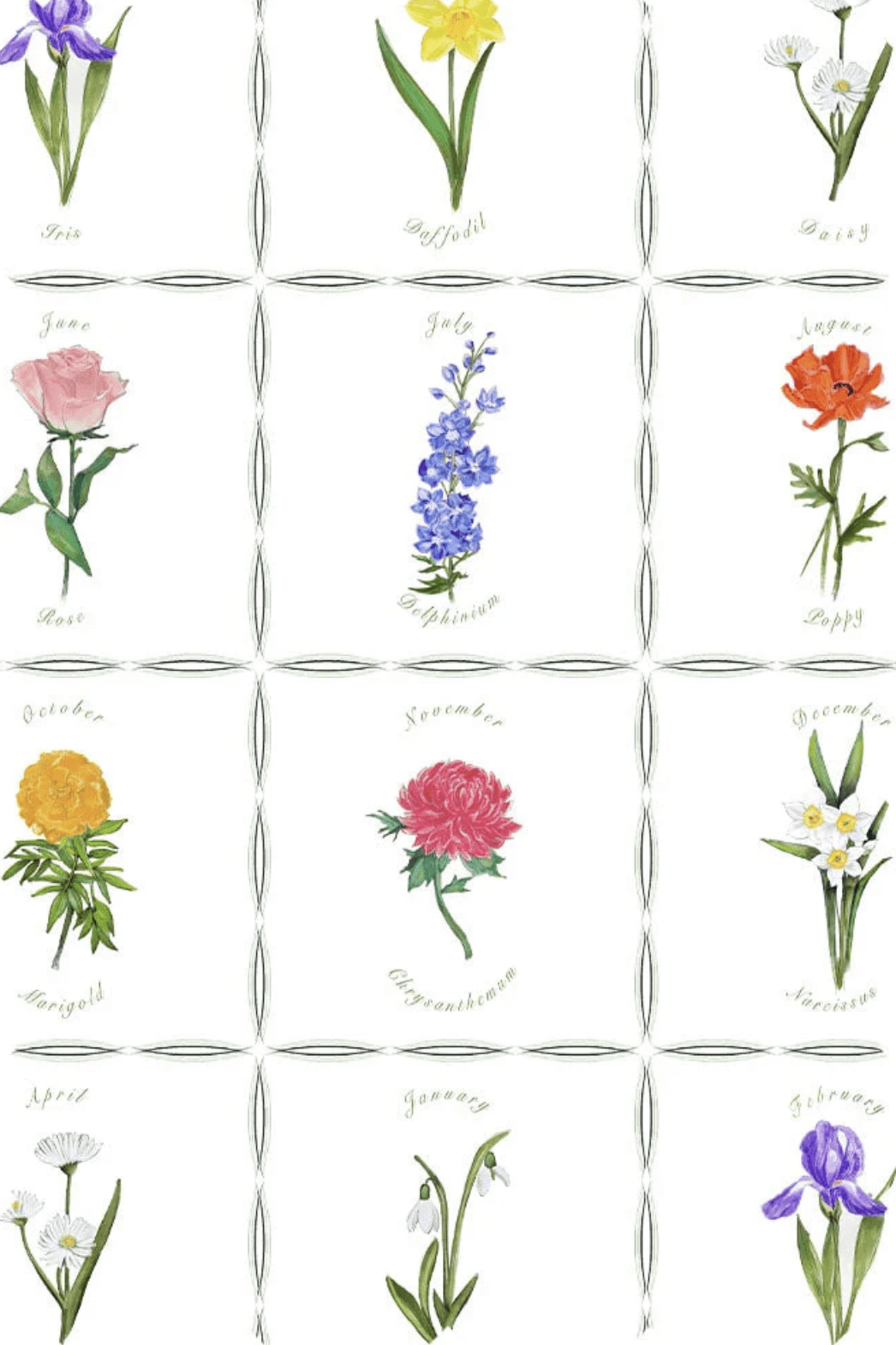 Main Product Image Zoomed