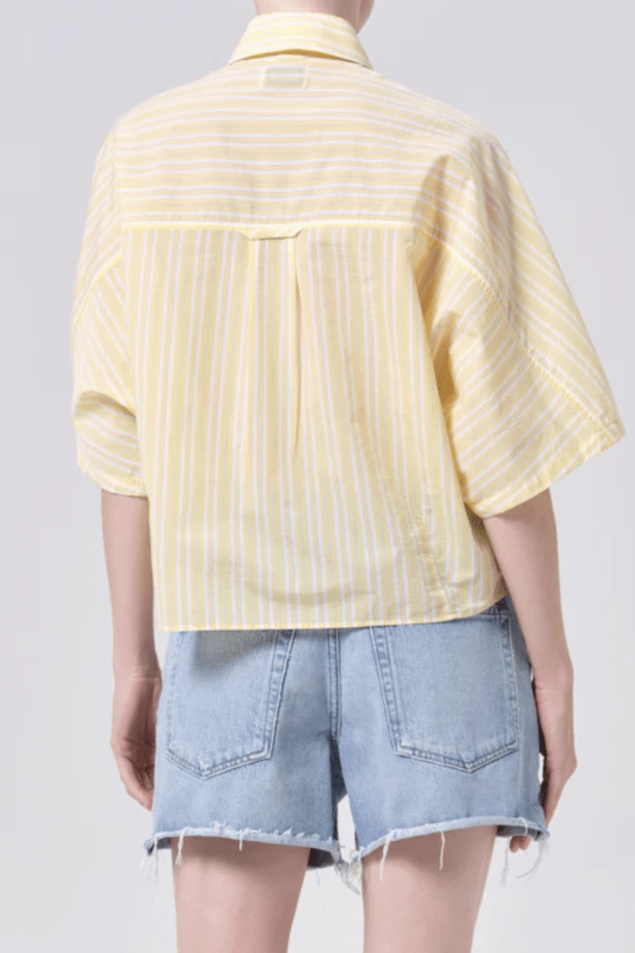 Main Product Image Zoomed