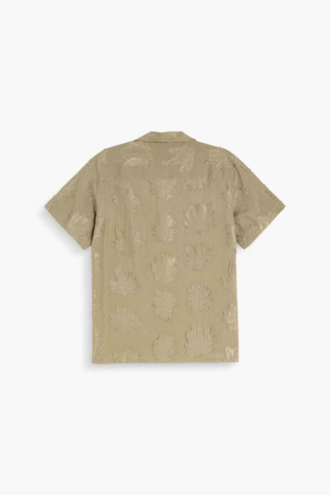 Main Product Image Zoomed